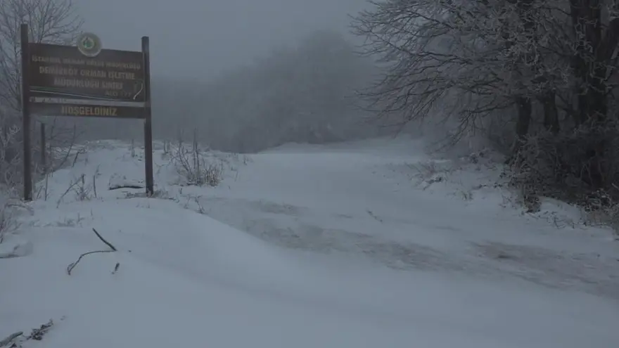İstanbul'da kar kapıya dayandı! Trakya'da kar yağışı etkili oluyor 5