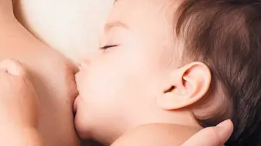 Süt hamilelikten ne kadar korur?