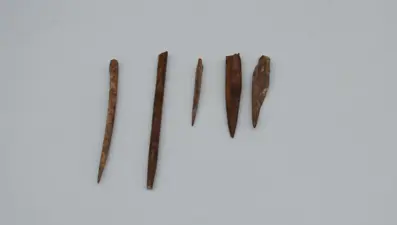 İzmir'de 8 bin 200 yıllık iğneler bulundu