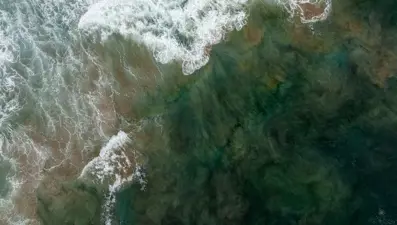 40 yıl sonra ilk: Okyanus akıntısı gelmedi, bilim dünyası alarmda