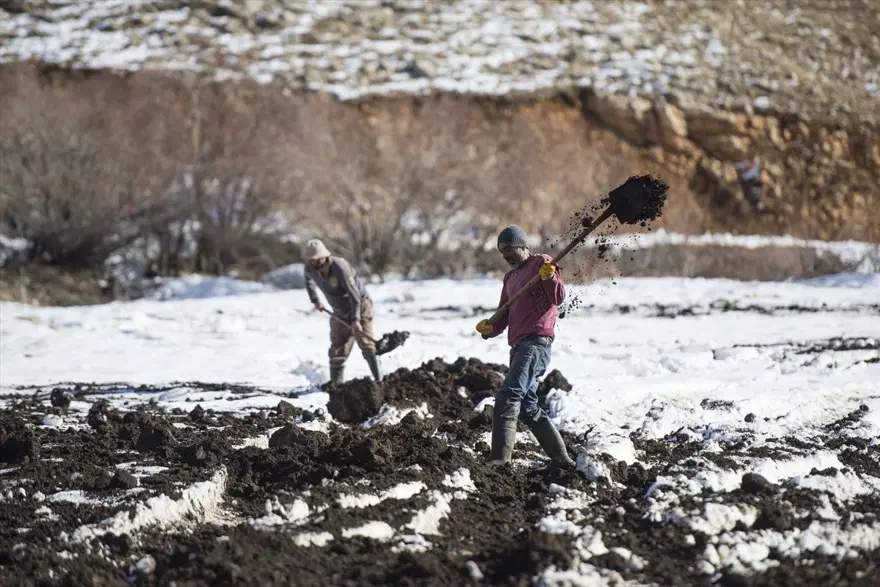 Tunceli'nin dağlarında kış, ovalarında sonbahar havası yaşanıyor 12 Tunceli'nin dağlarında kış, ovalarında sonbahar havası yaşanıyor 12