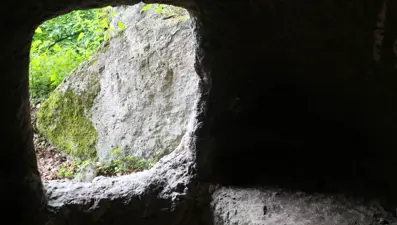 Defineciler tarihi alanı talan etti