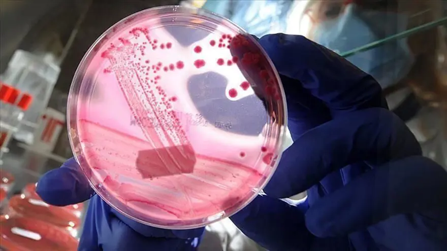 Meme kanseri teşhisinde çığır aştı, sıra ağrı tedavisinde! Milli gururumuz Canan Dağdeviren'e Aziz Sancar ödülü 5