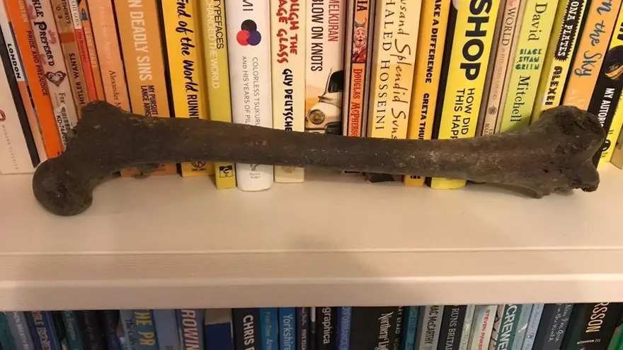 Thames Nehri kıyısında 5 bin yıllık insan kemiği bulundu 3