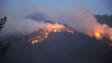 Denizli’de 8 noktada orman yangını: Alevler kontrol altında