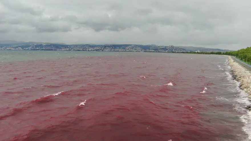 Kocaeli'de Kilez Deresi'ni atık su ile kırmızıya boyayan firmaya ceza 9