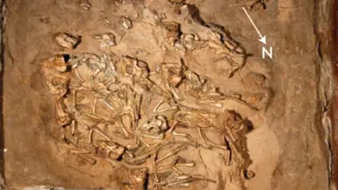 Gobi Çölü'nde dinozor yuvası
