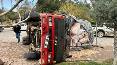 Fıstık kabuğu yüklü kamyon devrildi