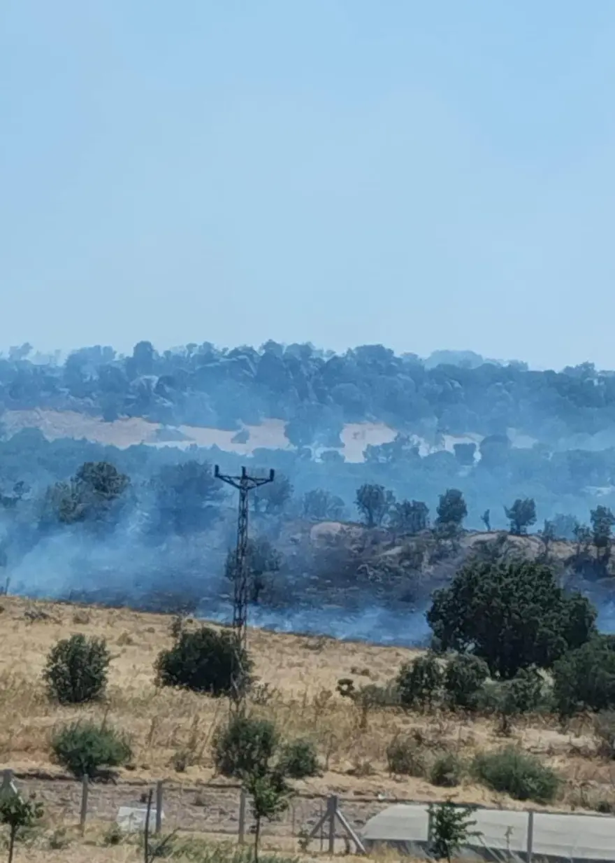 Balıkesir'de orman yangını 6 Balıkesir'de orman yangını 6