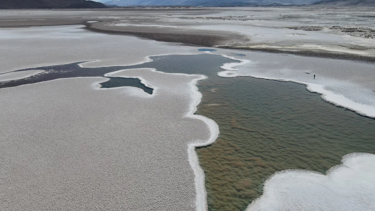 Dünyada yaşamın en eski izleri: Arjantin'de 3 milyar yıllık fosiller bulundu