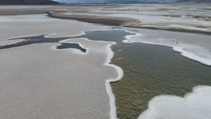 Dünyada yaşamın en eski izleri: Arjantin'de 3 milyar yıllık fosiller bulundu Dünyada yaşamın en eski izleri: Arjantin'de 3 milyar yıllık fosiller bulundu