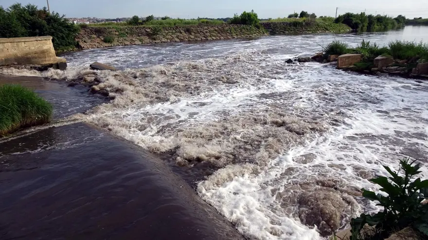 Ergene Nehri, Trakya'da zehir saçıyor 5