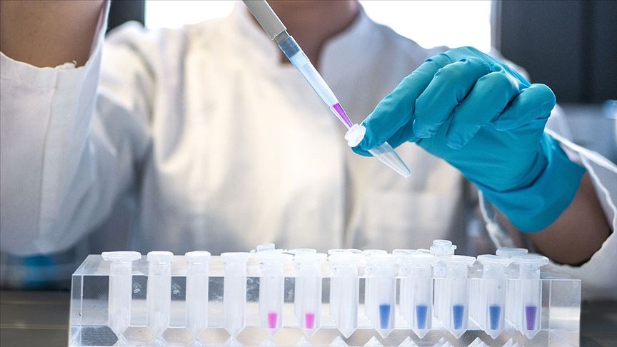 Türkiye'de AIDS 8-10 kat arttı