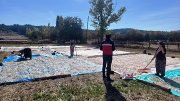 600 dekar alana ekilmişti: Kontrolleri yapıldı