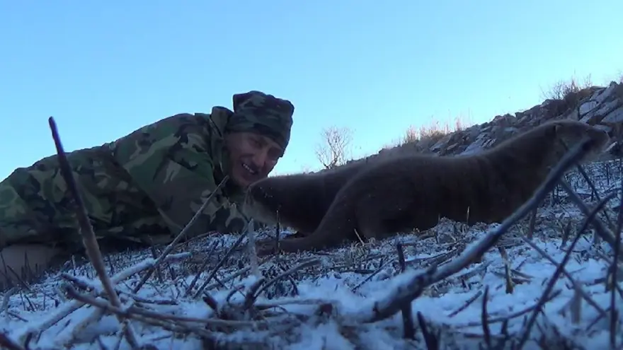 Yavru su samurları: Ortaya renkli görüntüler çıktı 3