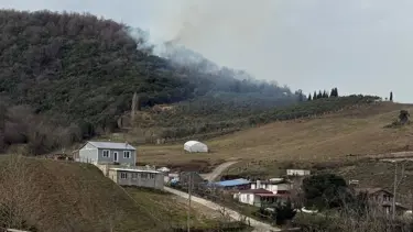 Yalova ve Aydın'da orman yangını