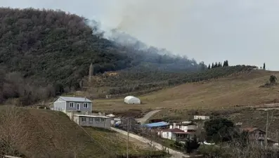 Yalova ve Aydın'da orman yangını