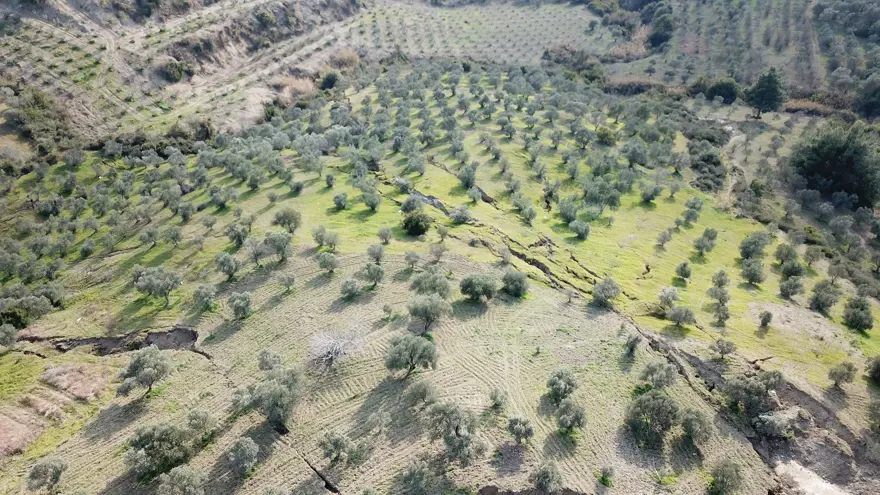 Depremin ardından Hatay'daki zeytinliklerde dev yarıklar 7