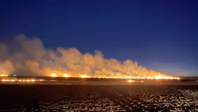 Anız 60 dönüm tarım arazisini kül etti