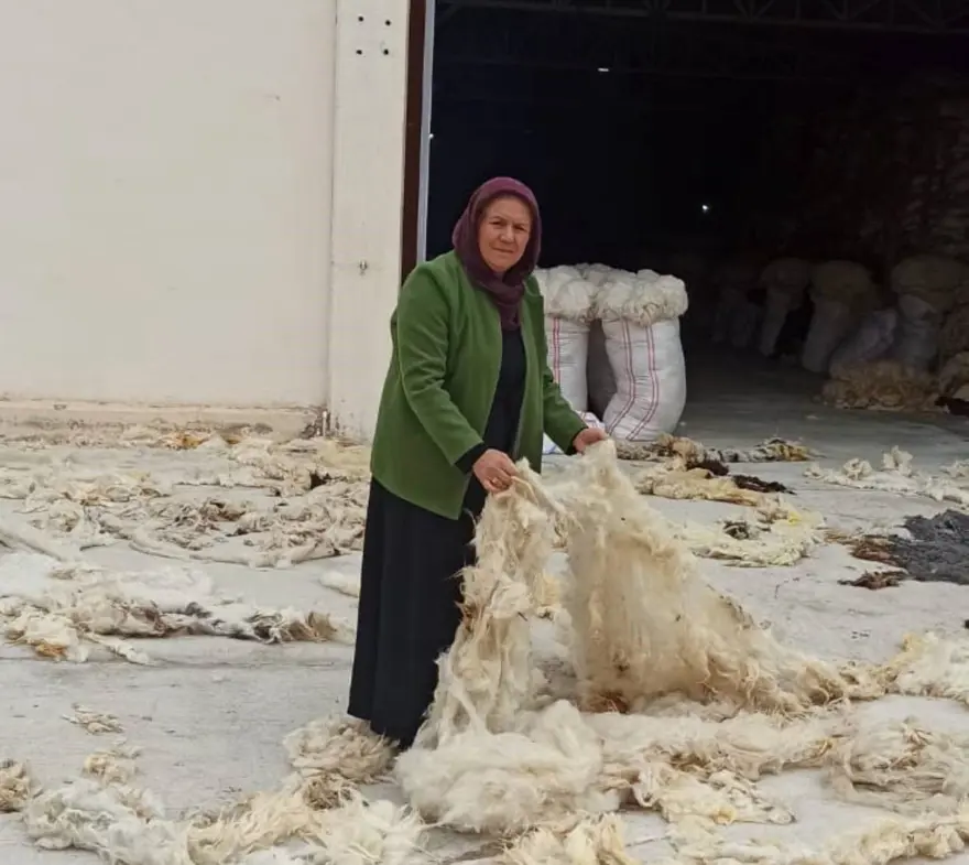 ÇÖP KONTEYNERLERİNİ DOLAŞIP YÜN ARIYOR 1
