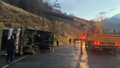 Erzincan'da canlı hayvan taşıyan çekici devrildi: İki hayvanın ayağı kırıldı
