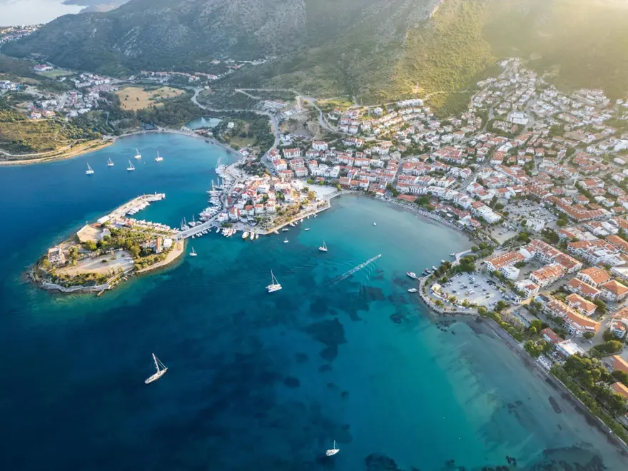 Bir ilçe karantinaya alındı: Mavi dil hastalığı 2