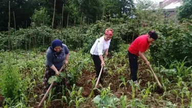Türkiye'nin en çok çalışan kadınları belli oldu
