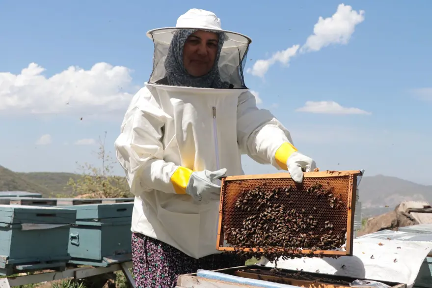 Kansere yakalandı ama yılmadı: Çocuklarını okutmak için başladığı arıcılıkta işleri büyüttü 