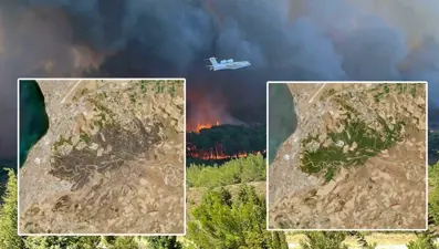 Çanakkale orman yangını: İki büyük felaketin zararı uydudan görüntülendi