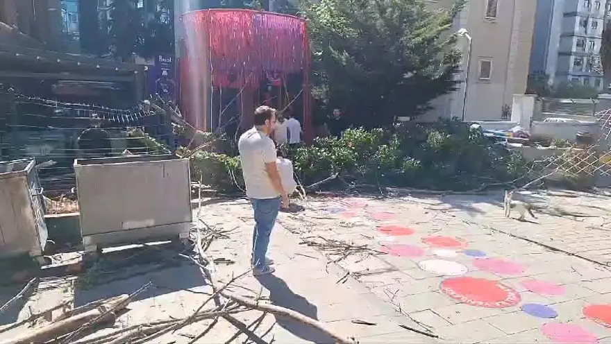 Çürüyen ağaç park halindeki araca zarar verdi 