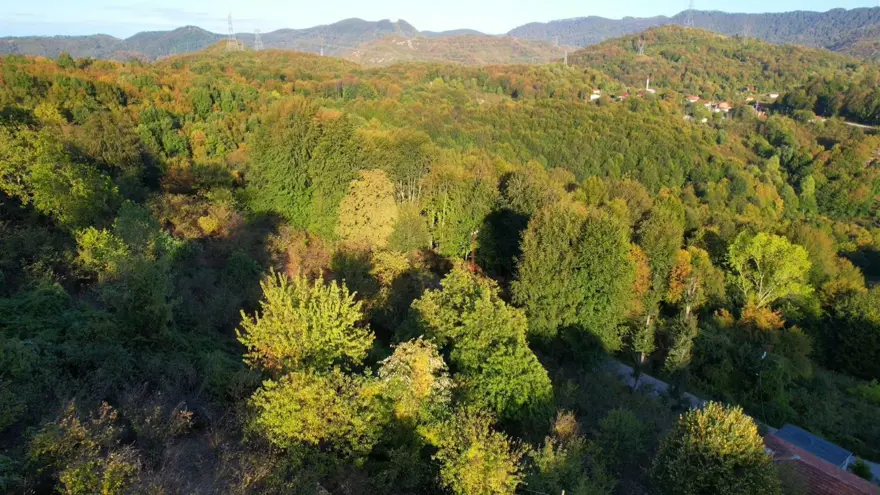 Zonguldak ormanlarında sonbahar renkleri havadan görüntülendi 3