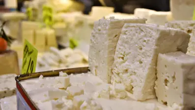 Bilim ne diyor? Peynirin şaşırtıcı etkisi