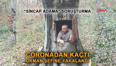 Ağacı oyan "sincap adama" soruşturma (Aslında kendisini ağaçkakan zannediyor)