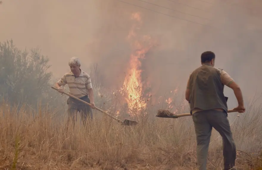 Antalya Manavgat'ta orman yangını 1