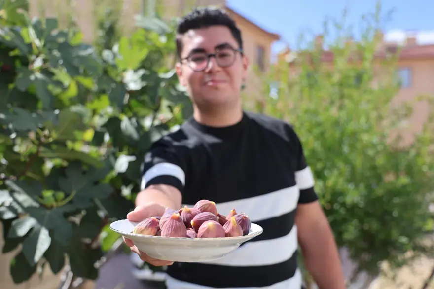 Konya'da yetişmesi zor olan meyveyi apartman bahçesinde yetiştirdi Konya'da yetişmesi zor olan meyveyi apartman bahçesinde yetiştirdi