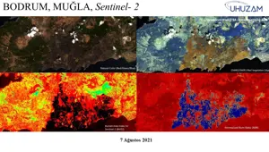 Orman yangınları uzaydan görüntülendi: 85 bin futbol sahası büyüklüğünde alan yandı