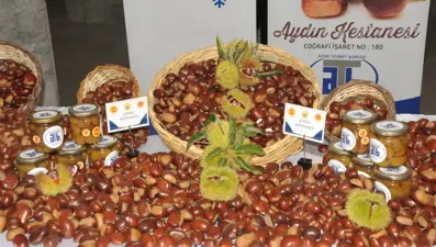 Kilosu 550 TL'den alındı: Sezonun ilk mahsulü