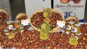 Kilosu 550 TL'den alındı: Sezonun ilk mahsulü