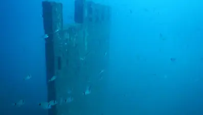 Saros Körfezi'nde su altında oluşturulan Enez Tarihi Müzesi balıklara yuva oldu