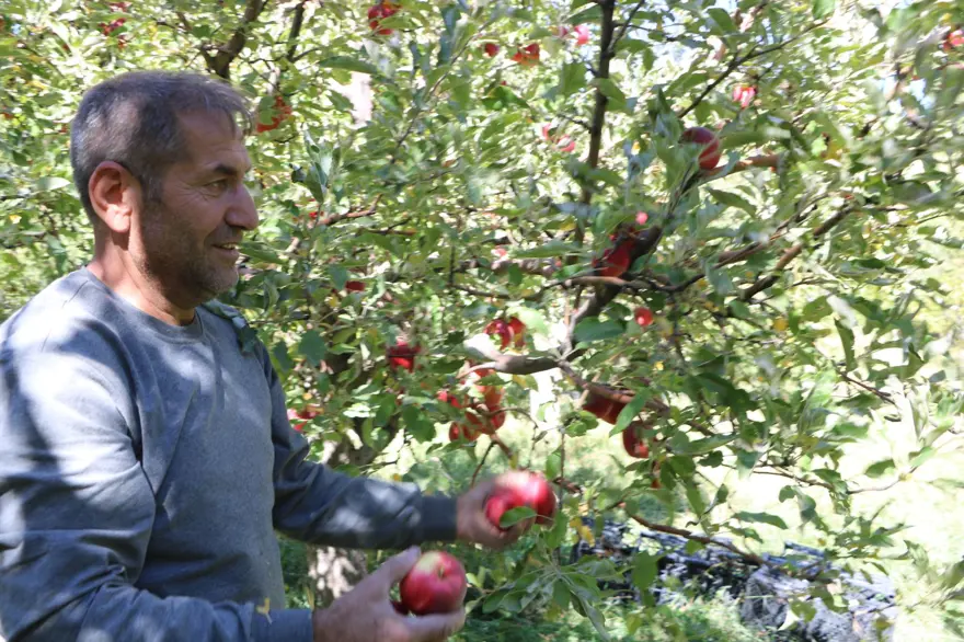 'GELEN TALEPLERİ YETİŞTİRİYORUM' 2