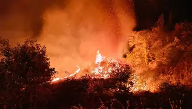 5 saatte söndürüldü: 150 dönüm orman yandı