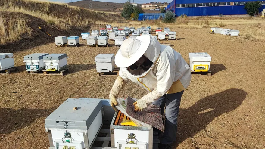 "BAL YEMEYEN ÇOCUK BİLE BAL YEMEYE BAŞLADI" 4
