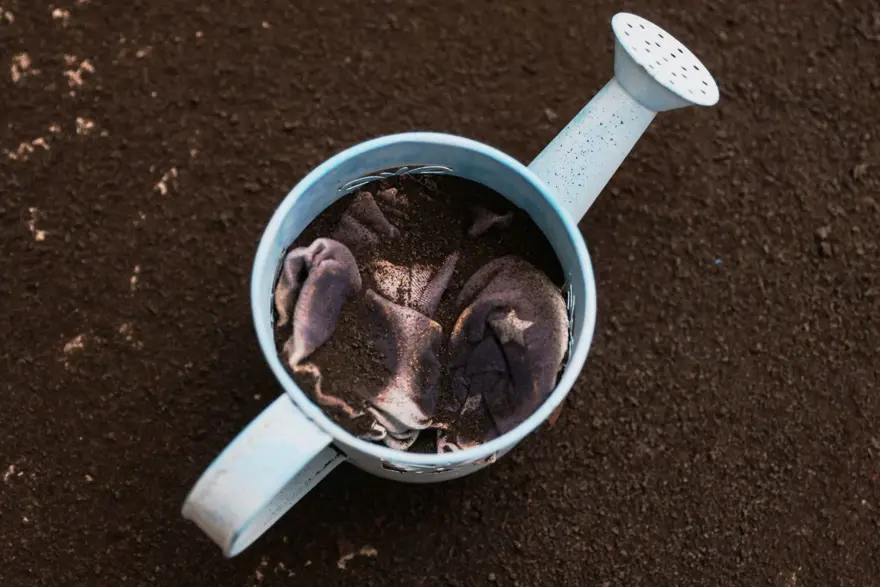 Kanarya Adaları'nın mucize evi: Etrafındaki her şey küle dönmesine rağmen hiçbir zarar görmedi 10