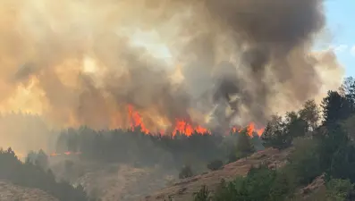 Kastamonu ve Karabük'te orman yangını: Havadan ve karadan müdahale ediliyor