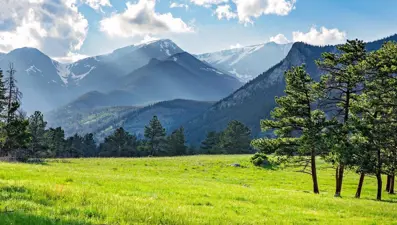 Uzmanı açıkladı: Ağrıyı hafifletici bir etkisi var