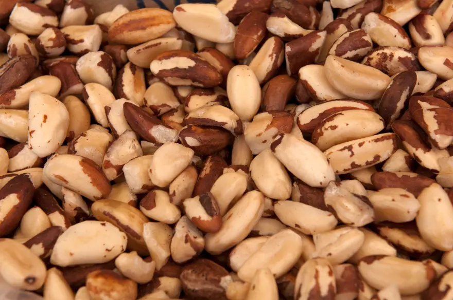 Doğadaki en yüksek selenyum kaynağı ama böbrekleri ve kalbi bitiriyor! Kanadalı diyetisyen uyardı: 7 tane yemek bile öldürebilir 1