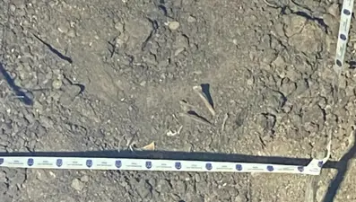 20 yıl önce kaybolan kız kardeşlerin öldürülüp gömüldüğü ortaya çıktı