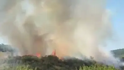 İstanbul'da orman yangını: Vatandaşlar tahliye edildi