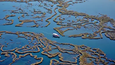 Labirent sazlıkları ile turistlerin gözdesi: Dalyan Kanalı