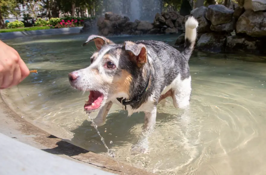 2023, en sıcak yıl olma yolunda ilerliyor 21